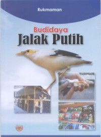 Image of Budidaya Jalak Putih